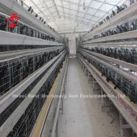Gaiola de camadas de sistema de bebida automática tipo A galvanizado a quente na fazenda Adela