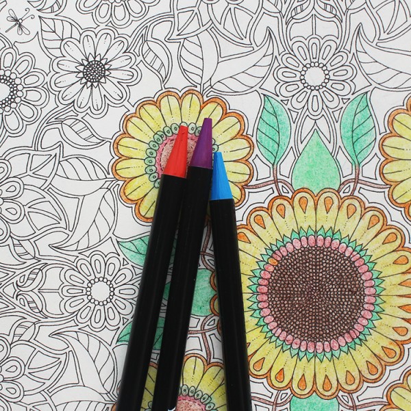Water-soluble 24Pcs Woodless Colored Pencils Sketch Arts for Adults