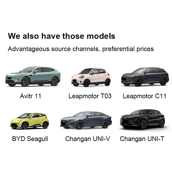 Forerunner Drive Mode Byd Mini EV 2024 Seagull Leap Edition 405km Range Electric Car