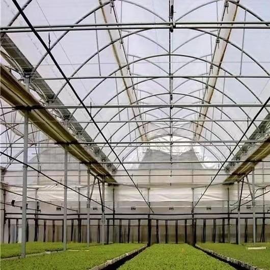 Film Covered Large Multi-Span High Tunnel Greenhouse for Large-Scale Cultivation