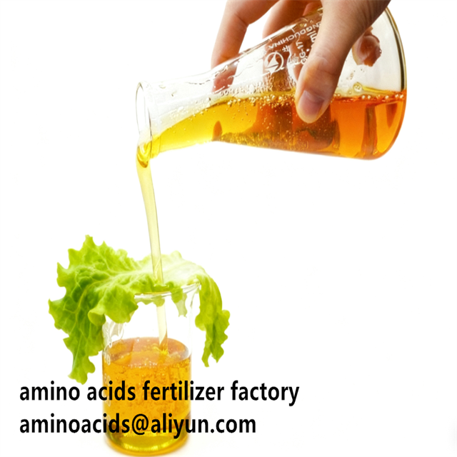 80% d'Acides Aminés Libres Liquides comme Matière Première pour la Production d'Engrais Solubles dans l'Eau