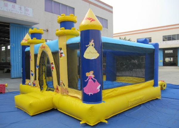 Kids Inflatable Bounce House Disney Princess Cartoon Characters Kid Adult Jumping Castle Inflatable Bouncer