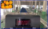 Précision d'équipement orange de trieuse des 2 Manche haute intelligente pour 4 - 6 t/h