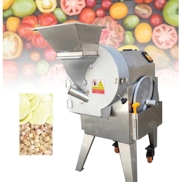 Electric Vegetable Dicer in Vegetable Processing Plant Cut Potatoes Carrots Asparagus and More