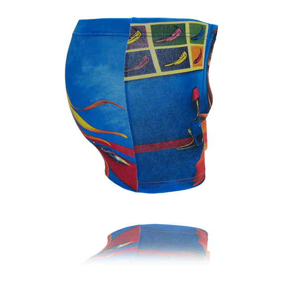 Men's Underwear Boxer Shorts spandex brand masculina Male Sexy Modal Trunk Underpants calz