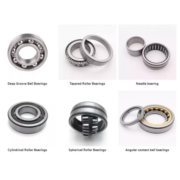 Rodamiento de rodillos de aguja del excavador LNM0266-3 Rodamiento de rodillos de aguja de copa dibujado