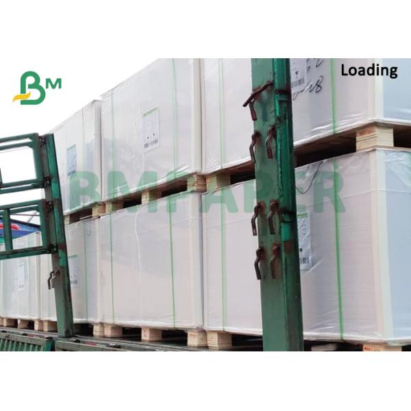 El PE cubrió el papel de base resistente del cuenco de la taza de papel del aceite 240gsm + 15g PE