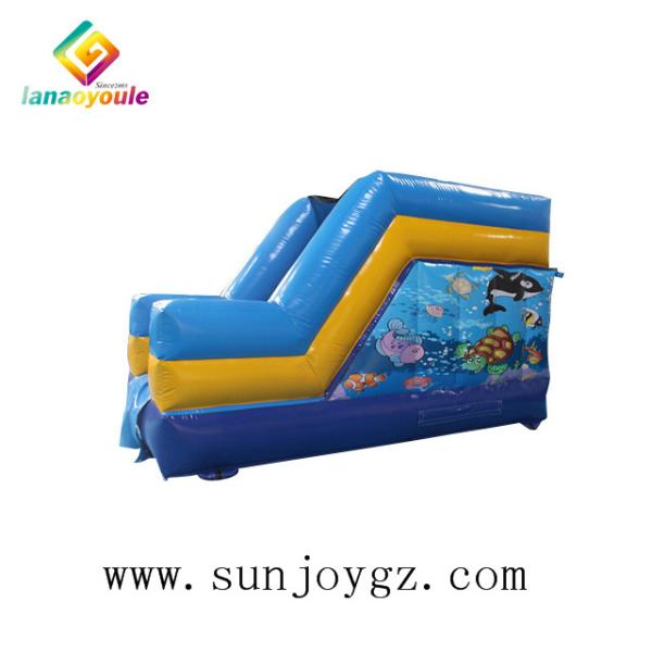 Eco - Friendly Inflatable Water Slide On Land Amusement Park Equipment For Outdoor Event