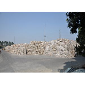 New Bamboo Paper Co., Ltd