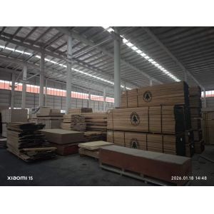 Qingdao U+ Health Technology Co., Ltd.