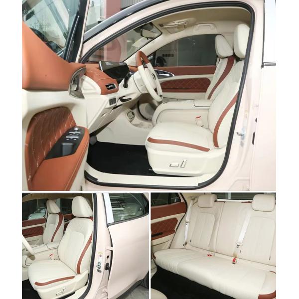 2023 ORA Electric SUV Car with Automatic Air Conditioner and Car Entertainment System