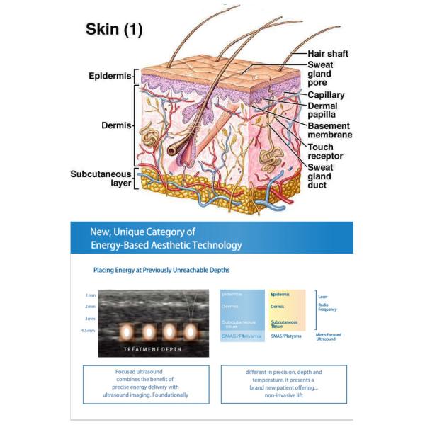Best Facial Skin Lifting Wrinkel Remover Ultrasound HIFU/ Portable HIFU Slimming Machine