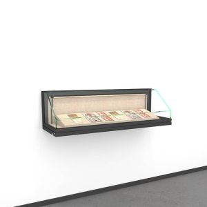 Custom Hanging Wall Mounted Display Cabinet Modern Style with Powder Coating Finish