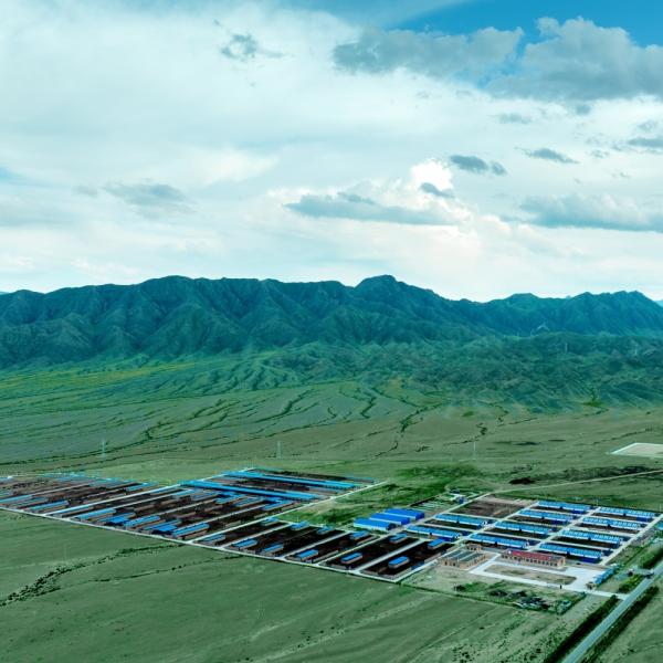 Hot Dipped Galvanized Steel Cattle Shed With Roof Insulation