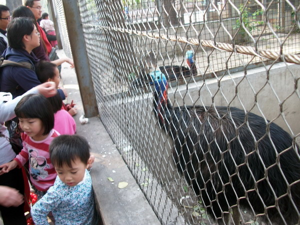 Stainless Steel Wire Rope Mesh Metal Wire Mesh Zoo Mesh