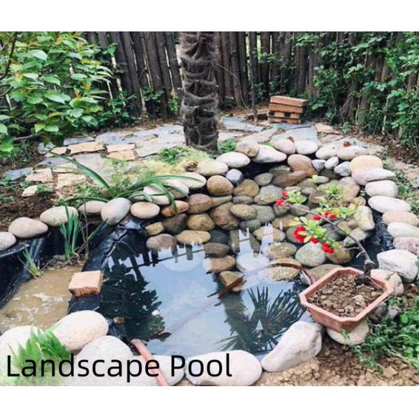 0.3mm-0.8mm Толщина HDPE Геомембрана Рыбный пруд линейка для лотосных прудов лотоса корневых прудов