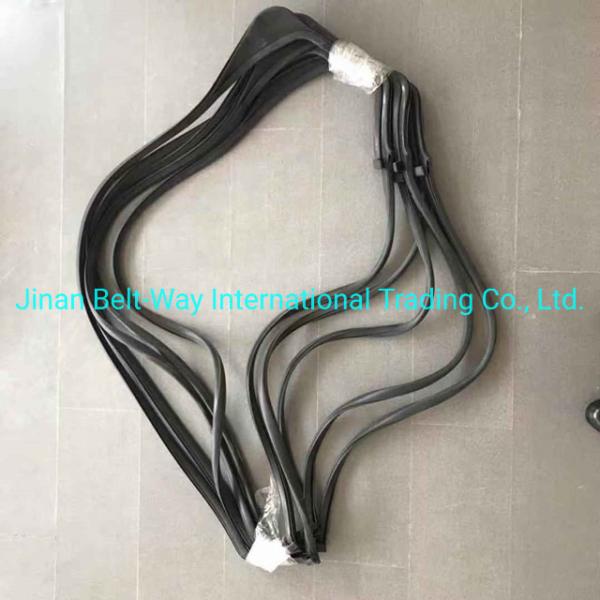 Sinotruk HOWO Truck L Glass Sealing Wg1642350001 Wg1642350002s for Transmission System