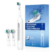 BX11 Rotating Toothbrush IPX7 Waterproof  Round Head Rechargeable Adult sonic Toothbrush