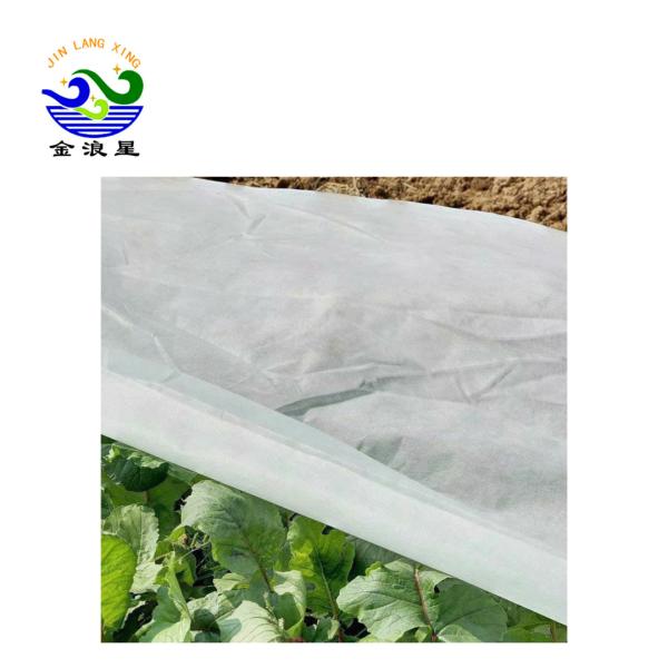 Polypropylene Spunbond Agriculture Non Woven Fabric