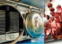 Produits alimentaires commerciaux végétaux congélateur sécheur refroidissement par air