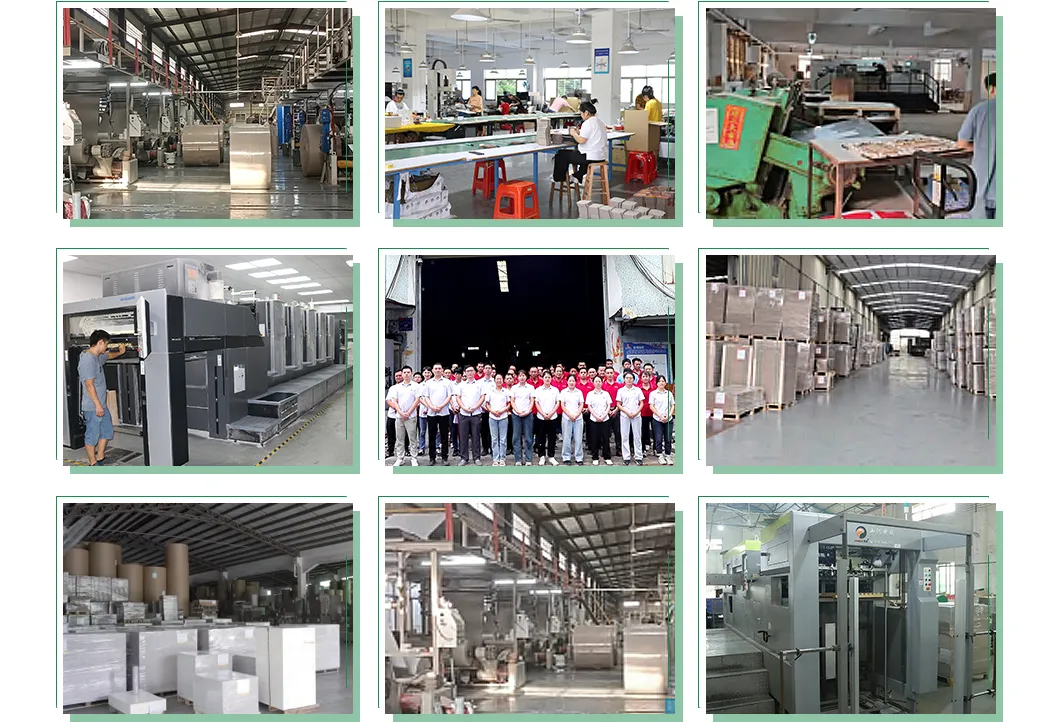 Sbs Chenming Fbb Board Paper GSM 230/Fbb/Gc2 C1s Ivory Board