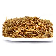 Dried Mealworms 11 lbs for Pet Feeding - Iron Rich Store in Dry and Cool Place
