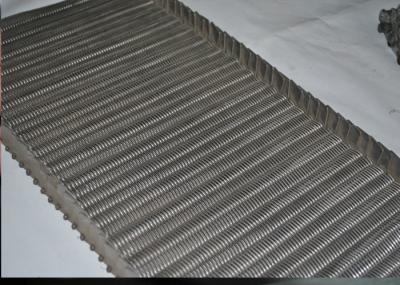 Os SS equilibraram a rede de arame da correia do Weave/correia transportadora do elo de corrente para o transporte