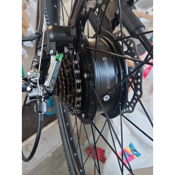 Professional Chinese E-Bike Manufacturer OEM/ODM Electric Mountain Bike pedal assist bike electric bike OEM bulk e-bikes