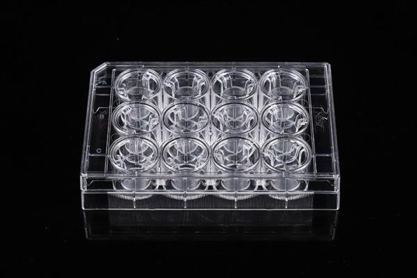 Cell Insert Multiple Well Plate 24mm PCR Laboratory