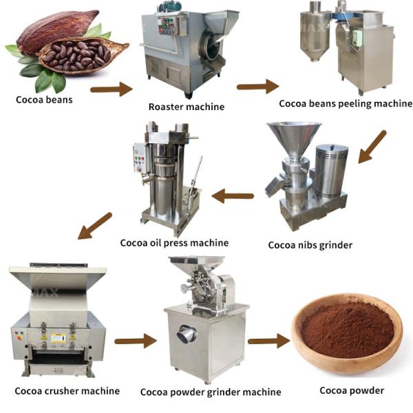 Stainless Steel Cocoa Bean Processing Line for Cacao Powder Manufacturing Machine