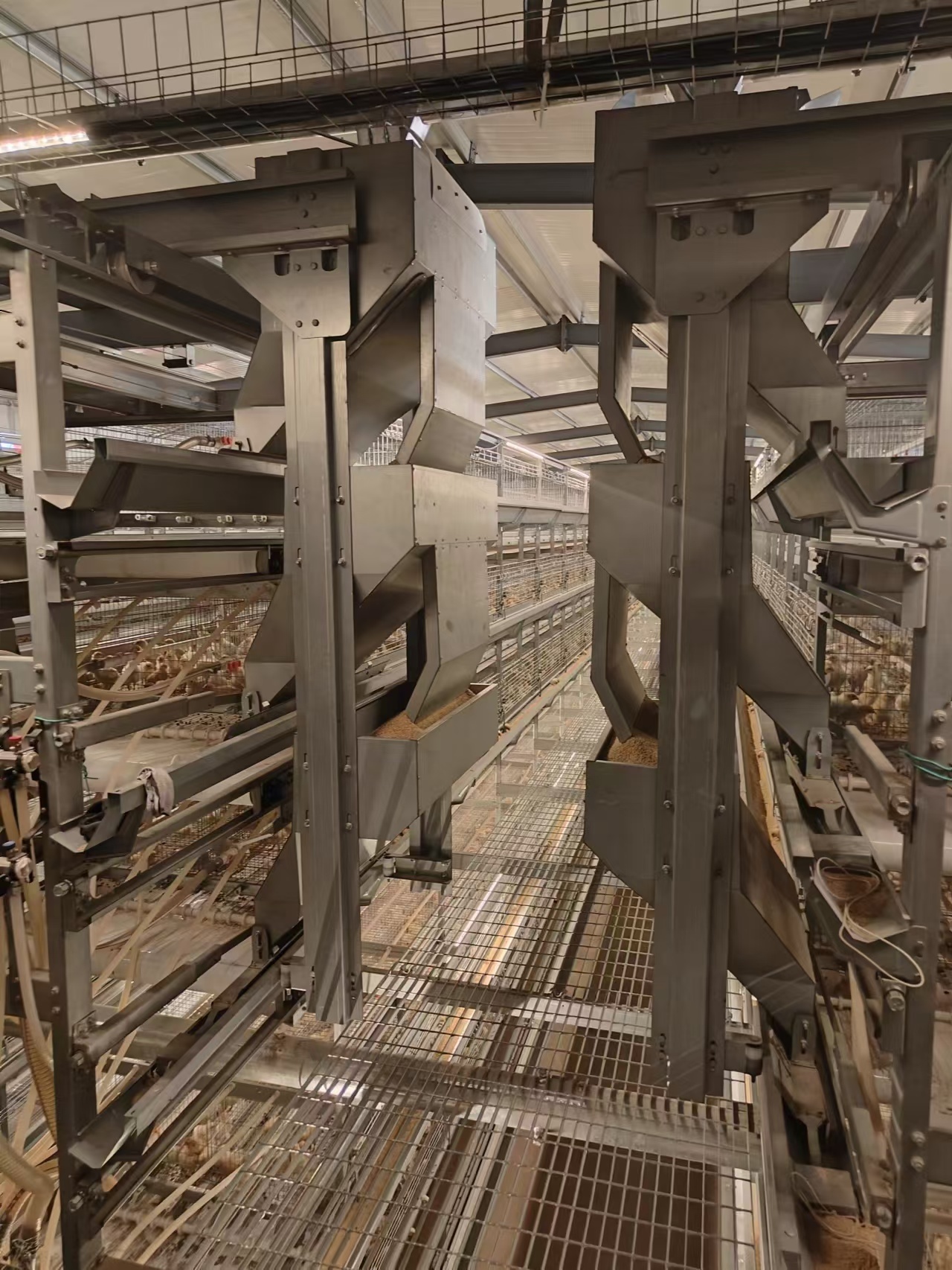feeding system