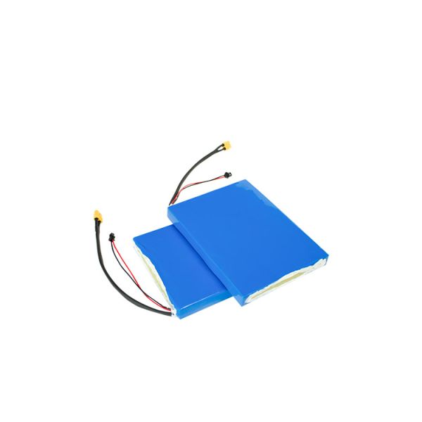 E-Scooter Lithium Battery Smart BMS - Bulk OEM Replacement Battery for Electric Scooters Waterproof
