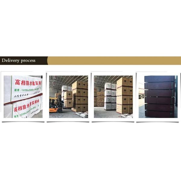 WBP Glue Multi Layer Plywood A/AA/AAA Grade High Bending Strength