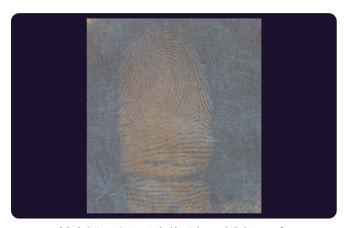 C205 BTDM-Ⅰ Vacuum coating fingerprint developing instrument