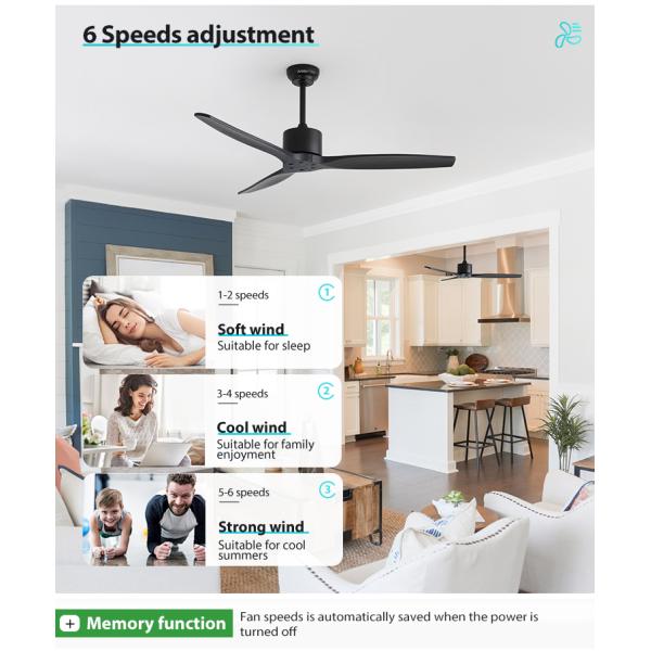 Vento padrão 52 polegadas ventilador de teto com controle remoto e 6 velocidades Mofo privado NO