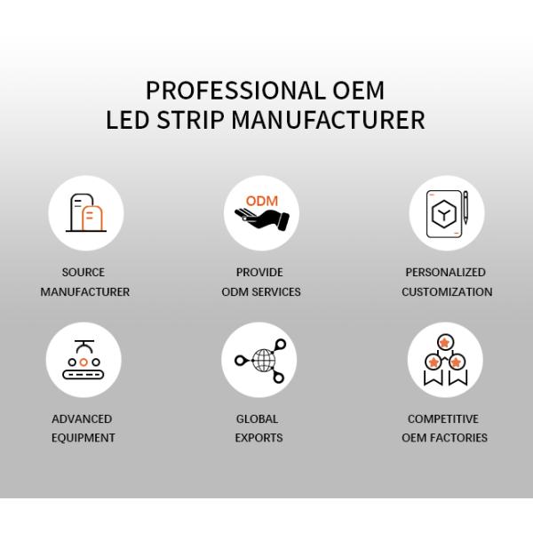 08*08mm Indoor LED Strip With Silicone Cover With Neon Border UV ETL FCC Certified