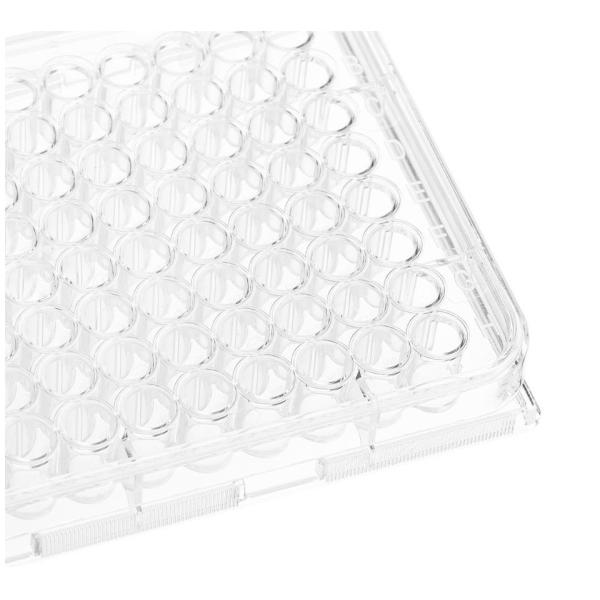 Plastic Sterile 4 6 12 24 48 96 384 Wells Tissue Culture Plate Cell Culture Plate For Lab Free Sample Free Shipping