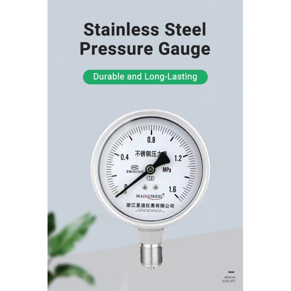 Customized Stainless Steel Pressure Gauge for OEM Mpa Scale LPG 100mm Pressure Test Gauge