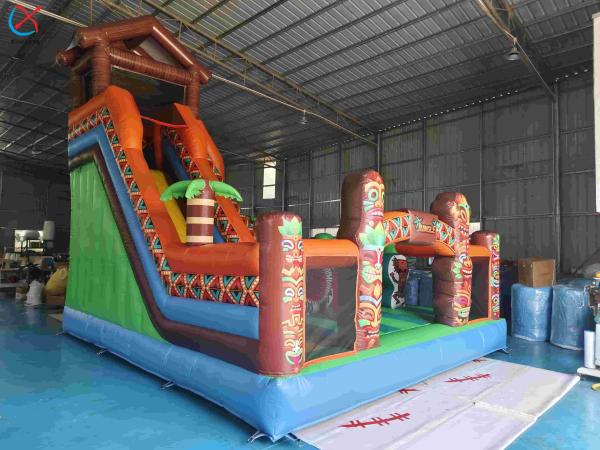 Inflatble Exotic Bouncy House With Internal Slide Combo Jumping Castle