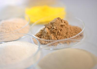 Polvo de amilase maltogénica de qualidade alimentar, multifisa, pH 5,0 a 8,00