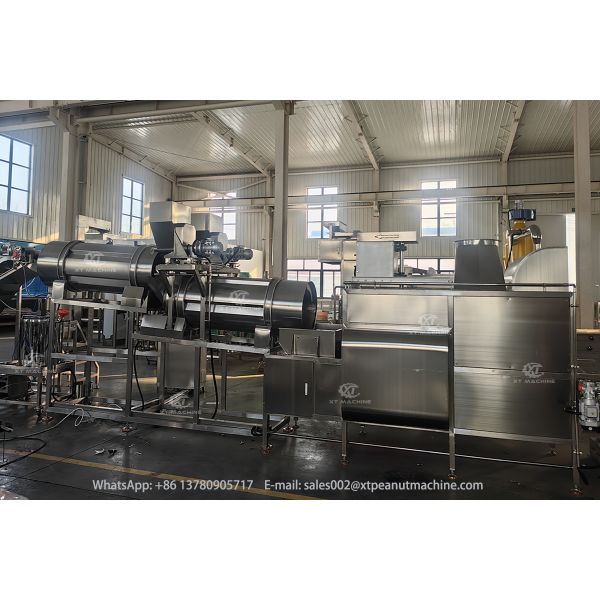 Automatic High Precision SS304 Rotary Seasoning Machine Nut Seasoning Equipment for Nuts Snacks Meat