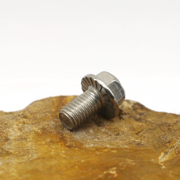 Metric Anti Slip Bolt Screws Customization Stainless Steel Flange Face Screws