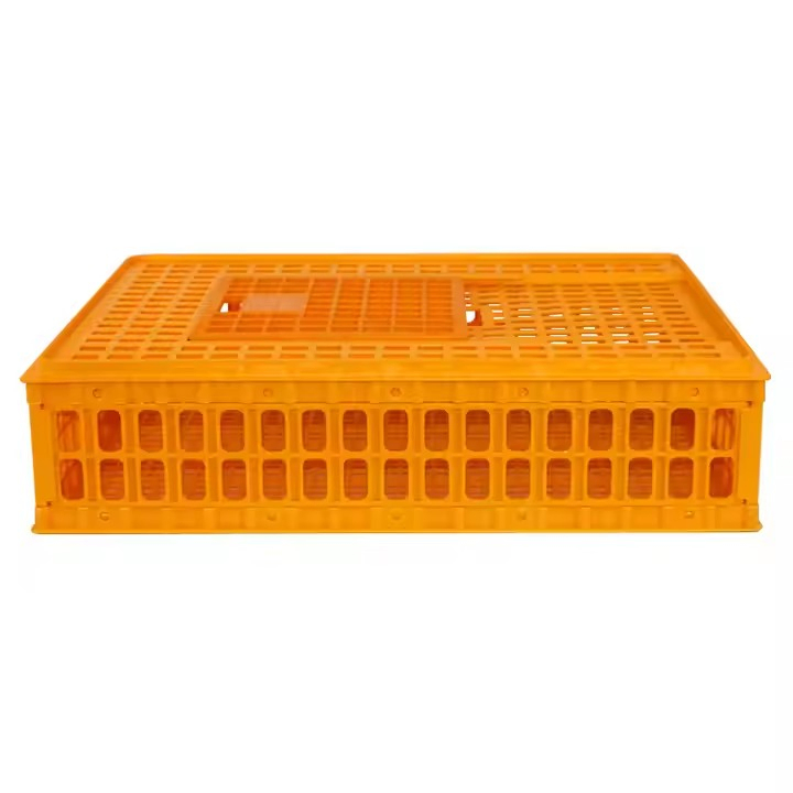 PP Material Chicken Transport Crate Corrosion Resistance Poultry Transport Box