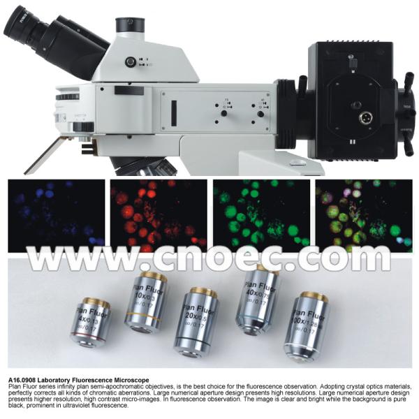 Laboratory APO Fluorescence Microscope with Digital Head , 5.0M Camera A16.0909