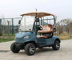 Electric Vehicle 2-Seat Golf Cart with Long Range 4-Wheel Drive and Lithium Battery