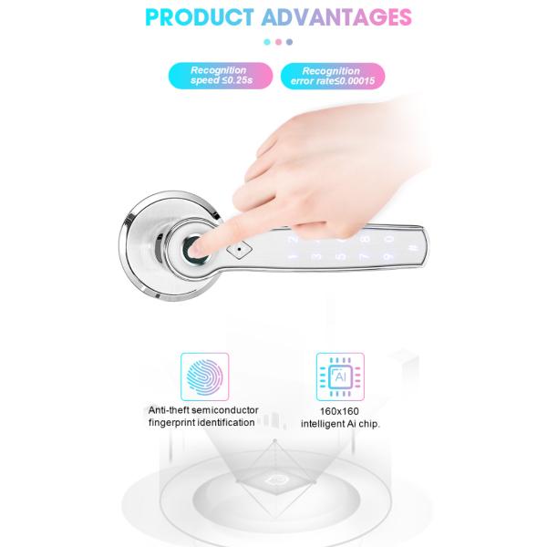 TTlock Fingerprint Bluetooth Smart Lock Keyless Zinc Alloy Handle