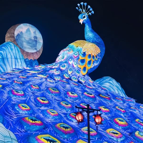 LED Peacock Traditional Chinese Festival Lantern for Outdoor Zoo Decoration
