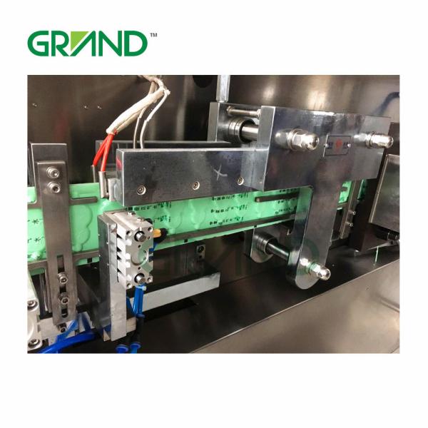 GGS-118 P2 Automatic plastic ampoule liquid filling sealing packing machine