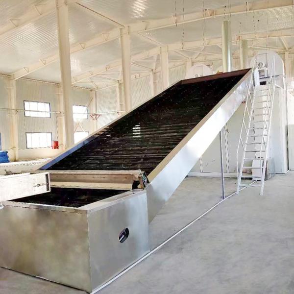 Camellia Seed Tea Leaf Dryer Machine ISO Fruit Drying Processing Line