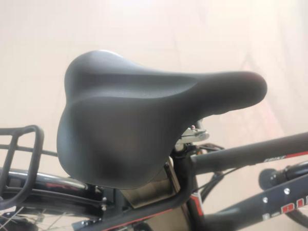 48v 23ah 48 Volt Bicycle 48v 16ah 17ah Ebike 48v 250w  Two Wheel City Bike Arrow 10